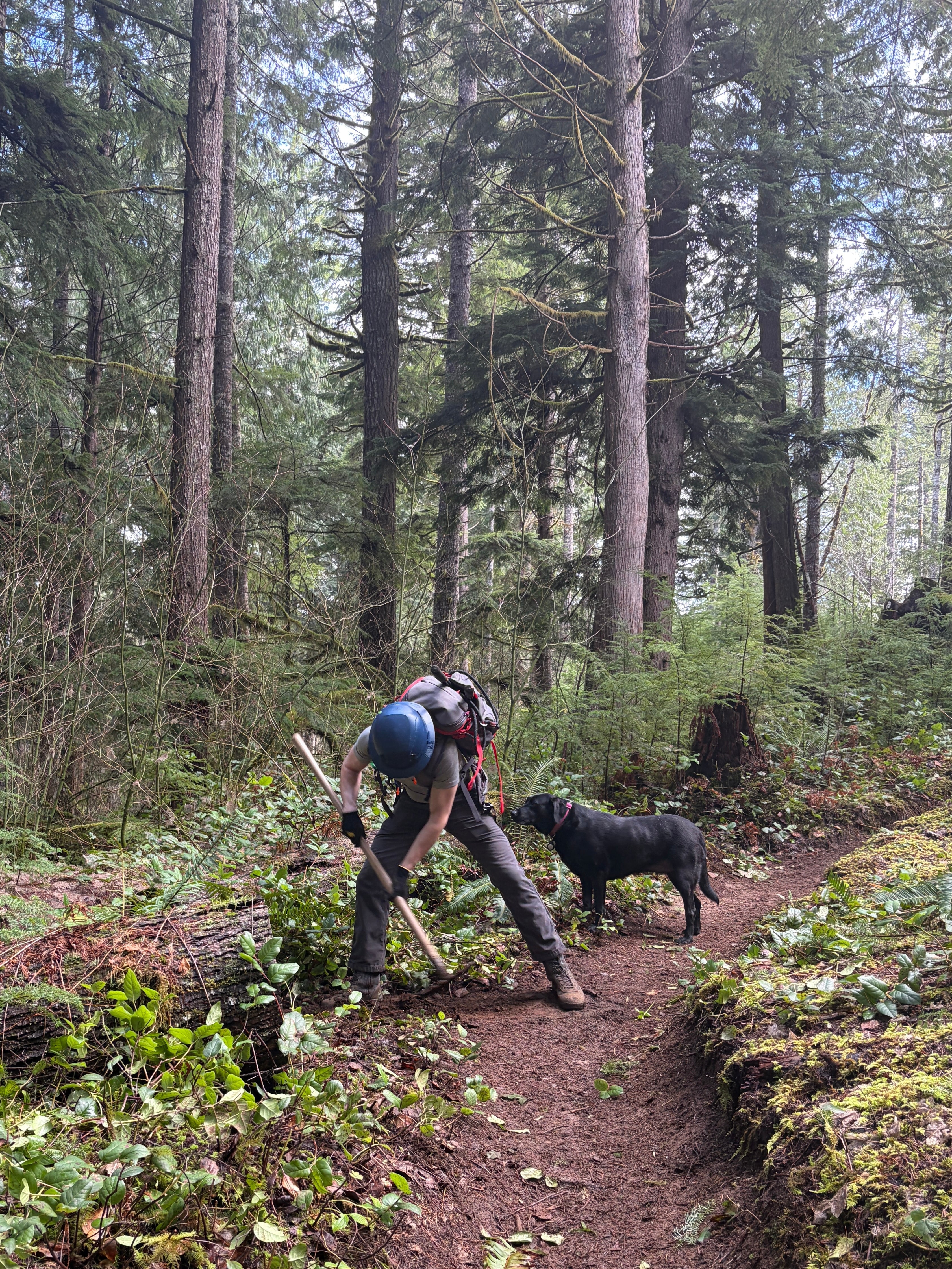 MEGA Spring Trail Cleanup and Party - Tillamook State Forest - Cyclepath PDX