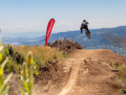 Collection image for: Shirts