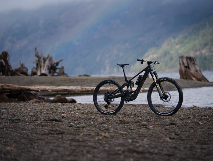 <strong>Forbidden Druid E</strong>