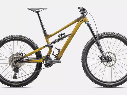 Specialized Status 2 170