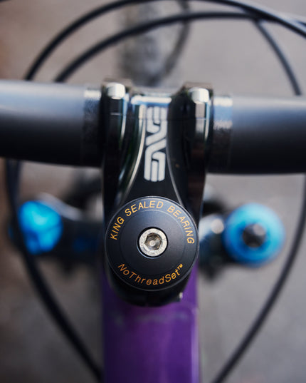 Consignment: Revel Rascal Custom Build - Large