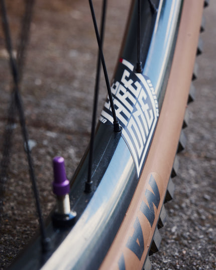 Consignment: Revel Rascal Custom Build - Large