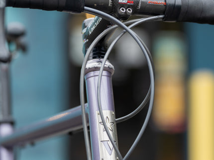 Consignment Vanilla Road Bike (Custom Geo) Campagnolo Record 10s Purple