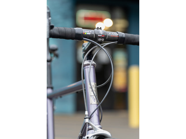 Consignment Vanilla Road Bike (Custom Geo) Campagnolo Record 10s Purple