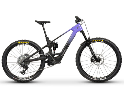 Forbidden Druid LitE 2