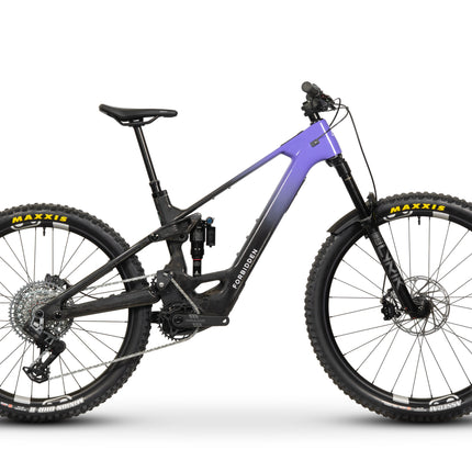 Collection image for: Forbidden