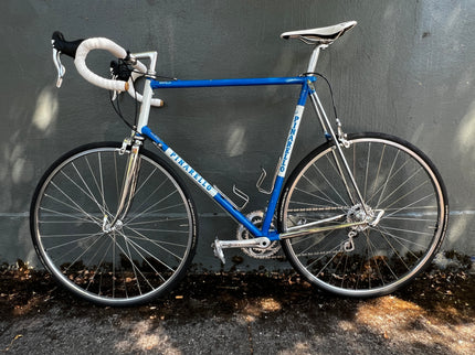 Consignment Pinarello Montello Custom Campy 60cm