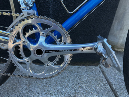 Consignment Pinarello Montello Custom Campy 60cm