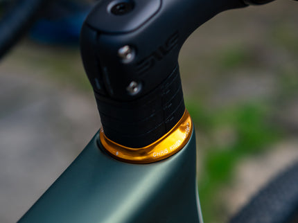 Custom Enve MOG Force XPLR 56cm Topo Green