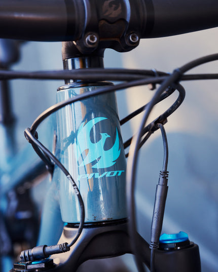 Pivot-Consignment 2022 Pivot Mach 4 SL Medium XTR-210000082725-Cyclepath PDX-Bikes - Analog Bikes - MOUNTAIN