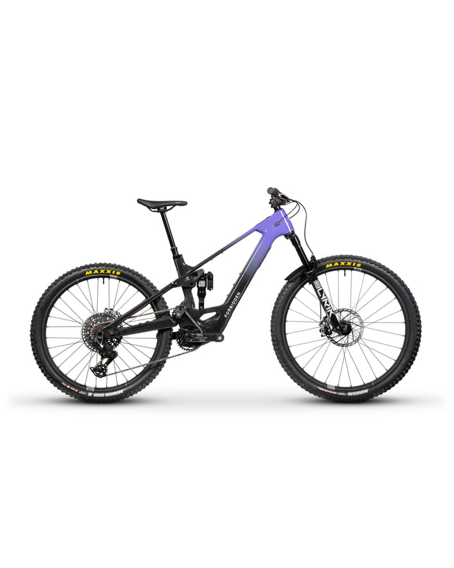 Forbidden - Forbidden Druid LitE 1 - 210000073397 - Cyclepath PDX