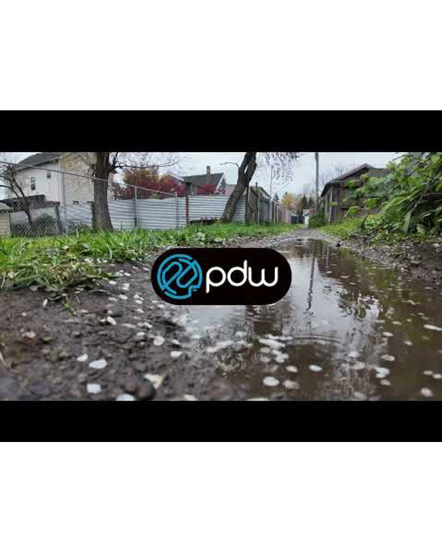 PDW Full Metal Fenders Road Plus 37mm - Black