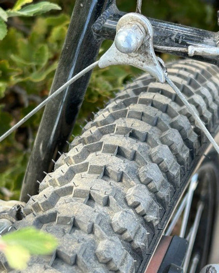 House of Looptail - Snake Belly 26x2.125 Clincher Tire - 210000070631 - Cyclepath PDX