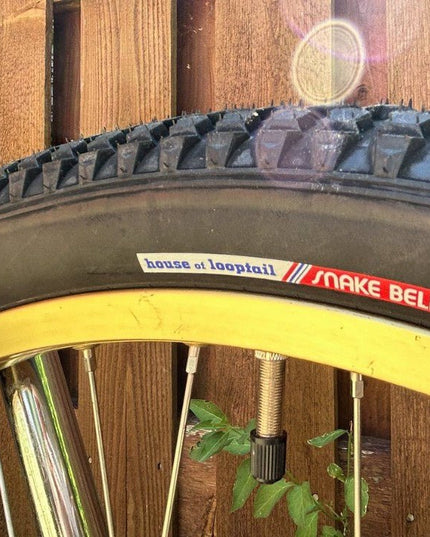 House of Looptail - Snake Belly 26x2.125 Clincher Tire - 210000070632 - Cyclepath PDX