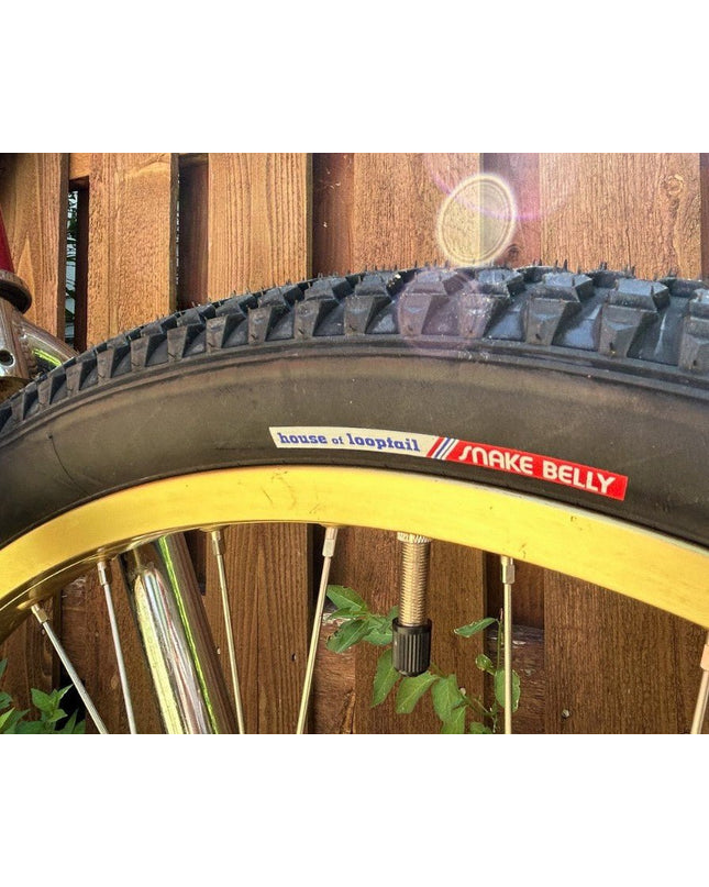 House of Looptail - Snake Belly 26x2.125 Clincher Tire - 210000070631 - Cyclepath PDX