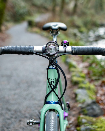 Stinner - Stinner Carrizo Custom Mint 54cm - 210000073129 - Cyclepath PDX