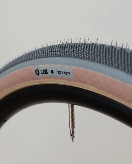 Ultradynamico - Ultradynamico Cava Race - RF742-AX-UDCV-N - Cyclepath PDX